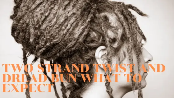 Featured image of post Two Strand Twist Locs