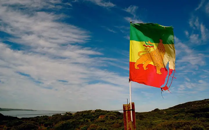 gjyte1sttcqeytbduh11 lion in rasta culture flag - dreadlocks extensions