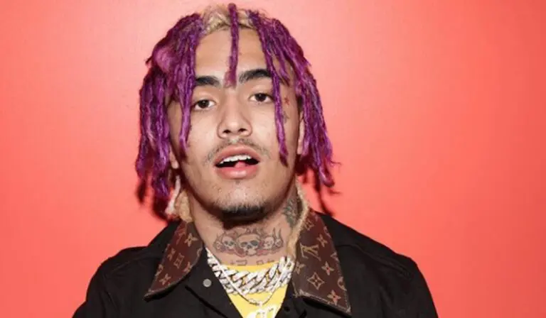 how to get lil pump dreads? impact of bleaching - htwdreads - how to grow healthy dreadlocks lil pump hairstyle 768x448 1 - dreadlocks maintenance