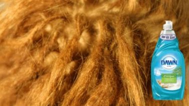 essential oils to prevent breakage of your dreadlocks howtoweardreadlocks