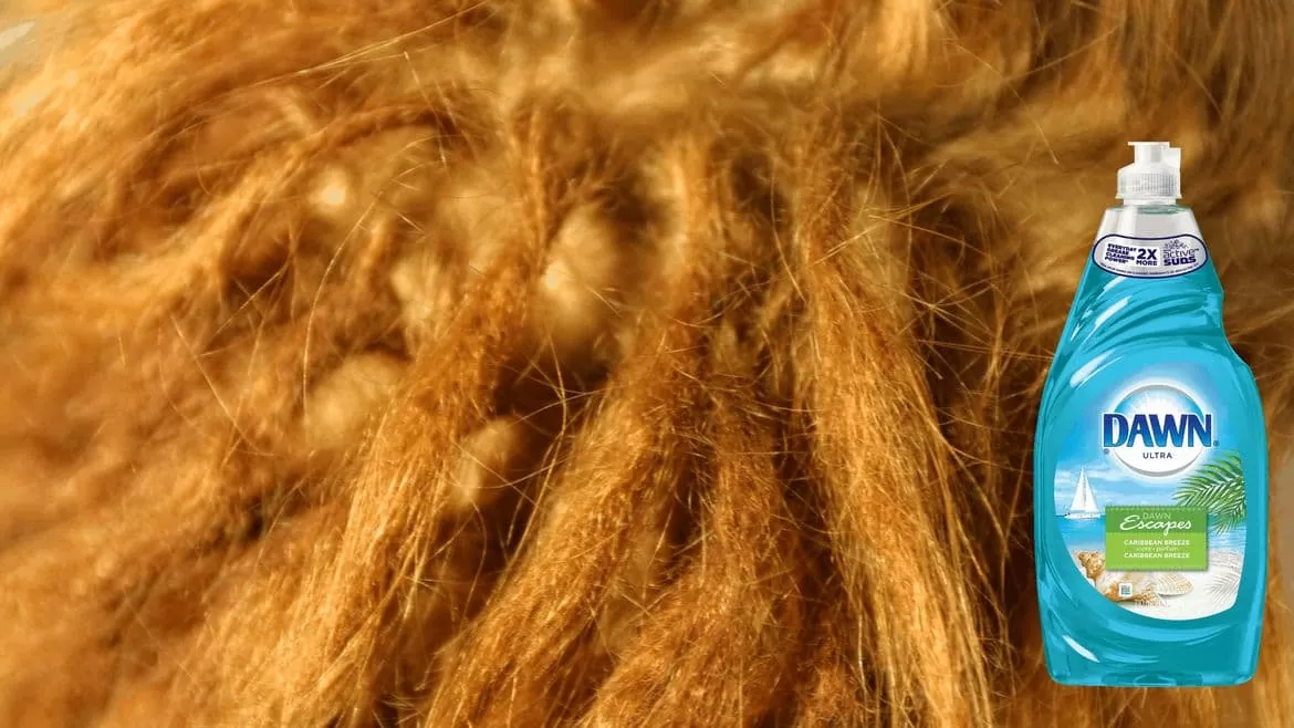 essential oils to prevent breakage of your dreadlocks howtoweardreadlocks - dreadlocks extensions