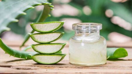 à quelle fréquence utiliser l’aloe vera sur ses dreadlocks ? how often can use aloe vera on your dreadlocks?