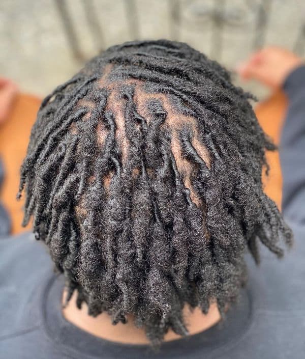 60 dreads na etapa de brotamento: